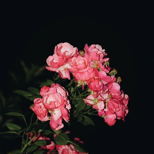 国产边摸边吃奶边做爽视频
